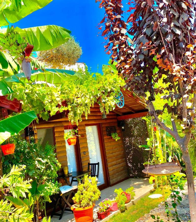 Alacati Kayezta Hotel Екстер'єр фото