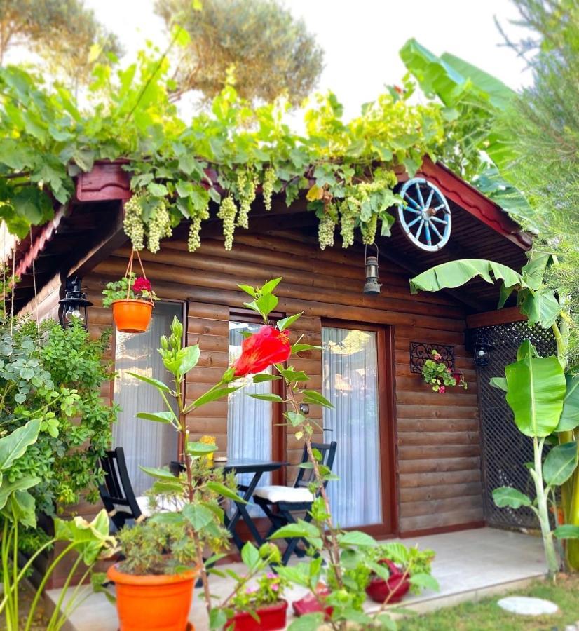 Alacati Kayezta Hotel Екстер'єр фото